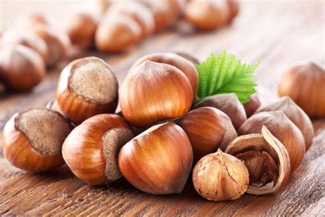 15 Proven Health Benefits Of Hazelnuts Health Tips