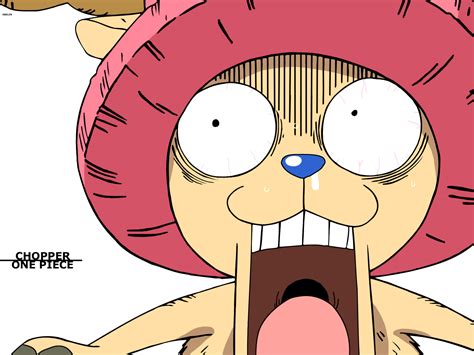 One Piece Chopper Anime 1665x1247 Download Hd Wallpaper Wallpapertip