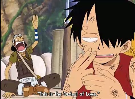 The Funny Moments In One Piece Anime Amino