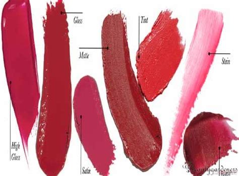 12 Best Lipstick Colors For Over 60 Years Older Women