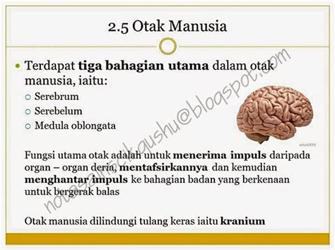 Nota sains bab 4 tingkatan 2. Nota Sains Tingkatan 4 Bab 2 | Nota Cikgu Shu