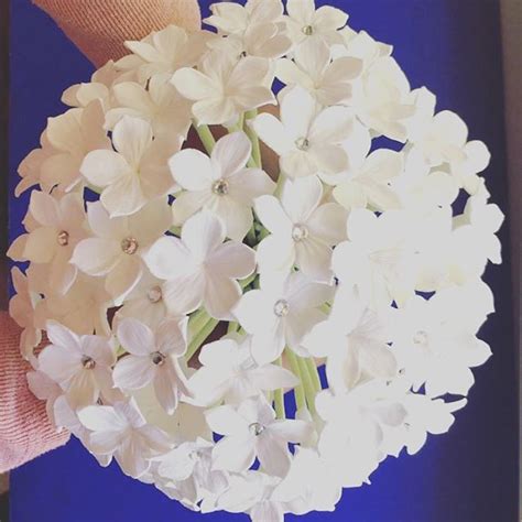 We did not find results for: stephanotis bouquet wedding hair | Handmade PaPer FloweRs ...