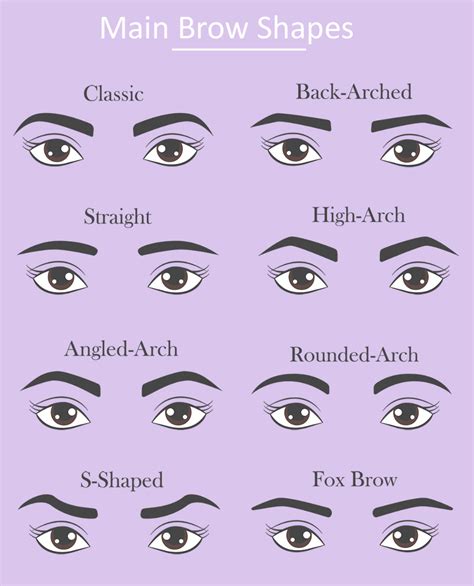 Common Eyebrow Shapes How To Find Your Perfect Brow Shape Eyebrow