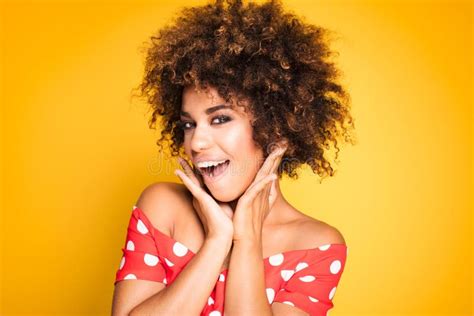 Beauty Portrait Of Smiling Girl With Afro Stock Image Image Of Adult