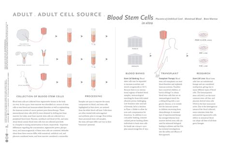 Stem Cells Across Curriculum