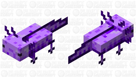 Ajolote Moradopurple Axolotl Minecraft Mob Skin