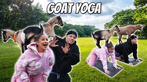 Goat Yoga W B N S Youtube