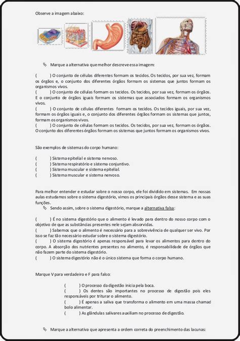 Atividade Sobre O Sistema Digestorio 5 Ano