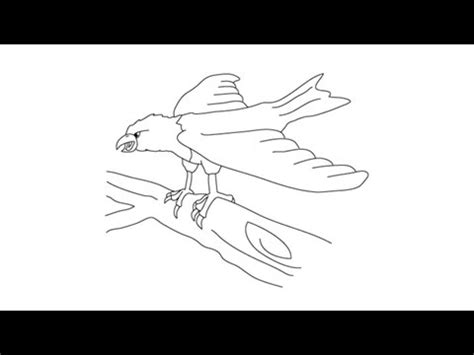 The images above represents how your finished drawing is going to look and the steps involved. How to draw an Eagle - Easy step-by-step drawing lessons ...