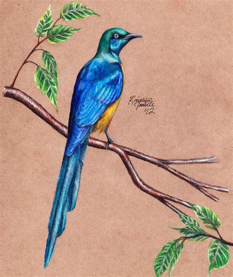 60 Best Bird Drawing Idea Tutorials How To Draw Bird Harunmudak