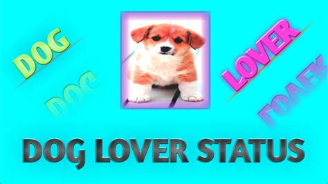 Text to compose a written status update. Dog lover whatsapp status😍😍 |Dog Lover | Dog Lover status ...