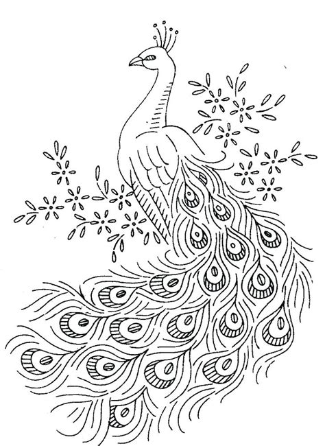 Some of the coloring pages shown here are coloring picture of animals for kids, amazing parrot coloring o. Bird Feather Coloring Pages at GetColorings.com | Free ...