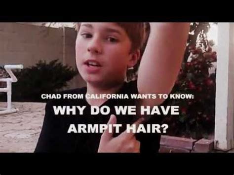 Though modern standard of beauty are constantly though modern standard of beauty are constantly changing, unfortunately, armpit stigma is a very real thing. Why Do We Have Armpit Hair? - YouTube