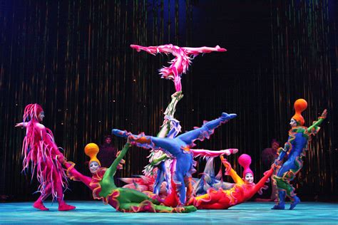 How I Met Cirque Du Soleil Diogo Nunes