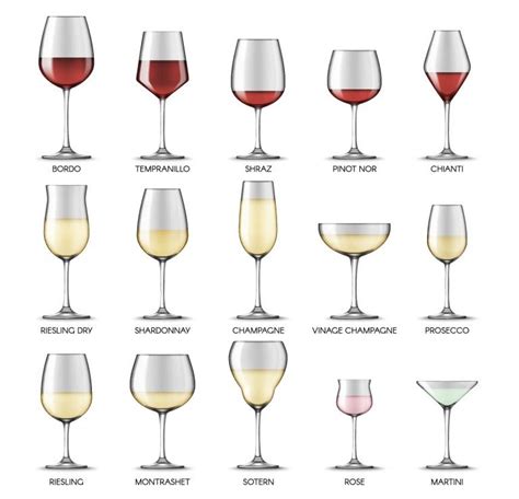 Different Glassware Shapes And Sizes Tongyit