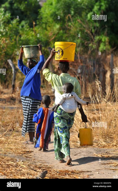Women Carry Water In Buckets On Their Heads The Gambia West Africa