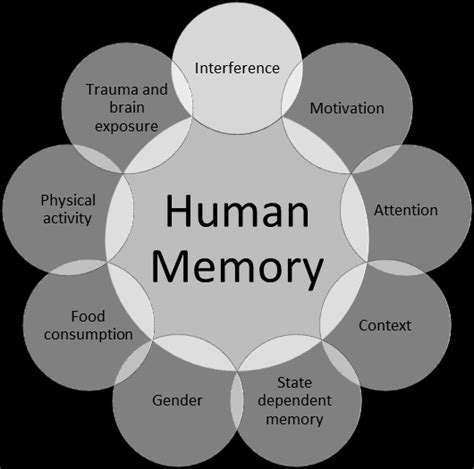 Factors Affecting Human Memory Recall Download Scientific Diagram