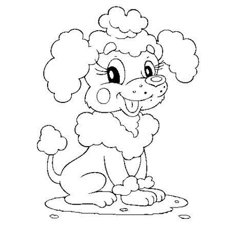 You want to see all of these puppy coloring pages, please click here! Poodle coloring page - Coloringcrew.com