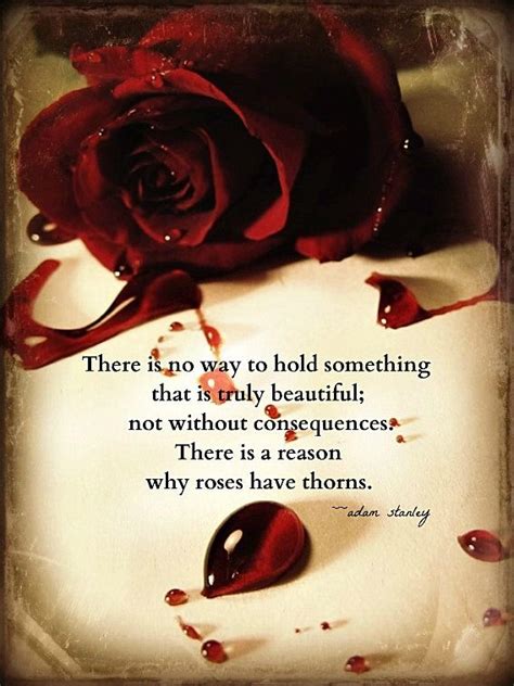 Don't forget to confirm subscription in your email. Adam Stanley | Rose quotes, Gothic quotes, Every rose