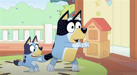 Bluey Season 3 When Can Kids And Parents Expect More Episodes On