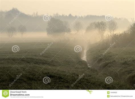 Meadow In Morning Mist Stock Photo Image Of Meadow Tree