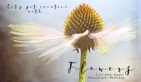 Flower Workshop Promo Card 2 Lil Owls Studio