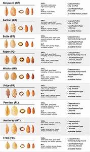 California Almond Varieties