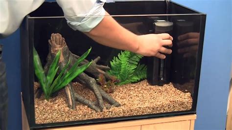 Small Fish Tank Setup All About Aquarium Fish Set Up Mini Fish Tank