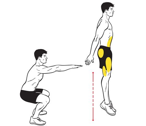 Squats For Beginners Workout Strengthens The Bodys Largest Muscle