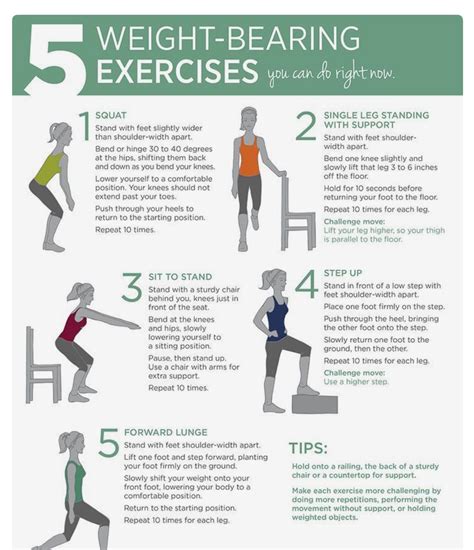 Weight Bearing Exercises Weight Bearing Exercises Osteoporosis Exercises Exercise