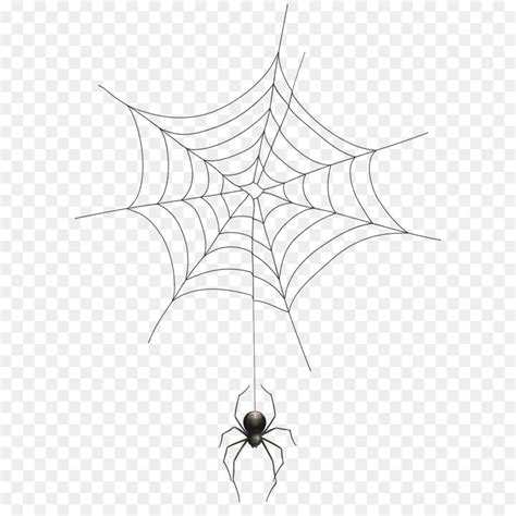 Spider Web Euclidean Vector Illustration Creative Cartoon Spider Web