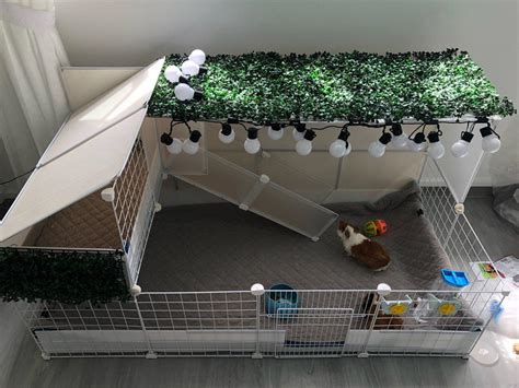 Customised Candc Cage For My Guinea Pigs Guineathebuilder