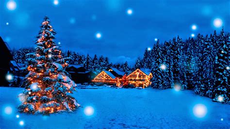 Christmas Trees And Decorated Houses In Blue Background Hd Christmas