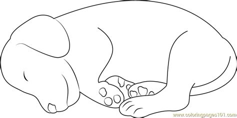 Small Dog Sleeping Coloring Page For Kids Free Dog Printable Coloring