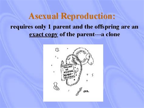 Methods Of Reproduction Sexual And Asexual Reproduction Reflection