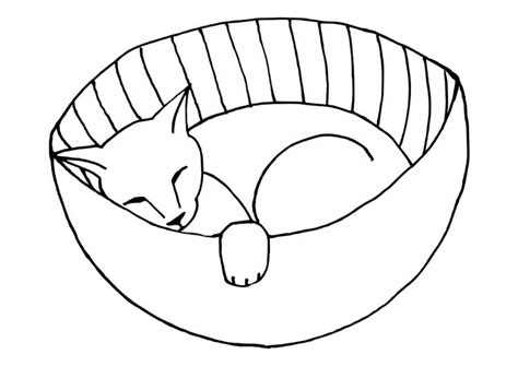 Colorear Gato Durmiendo Dibujos De Gatos Para Colorea Vrogue Co