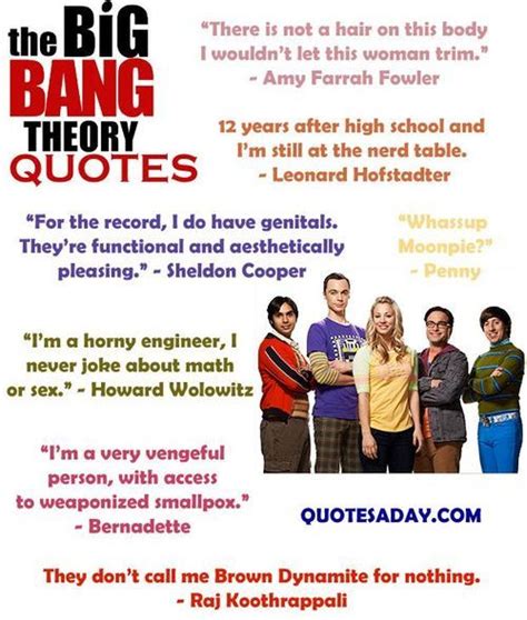 Funniest Big Bang Theory Quotes Quotesgram