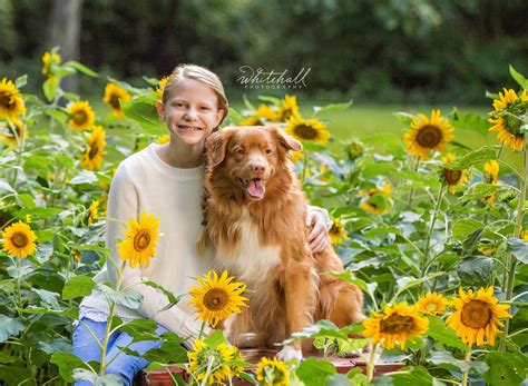 Creating the Perfect Dog Portrait | St. Louis Dog Photographer