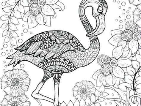 coloring pages detailed animals gif total update