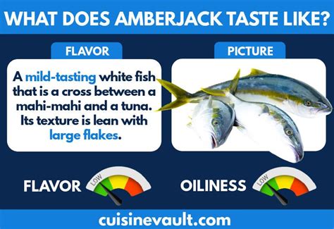 Find Out Everything There Is To Know About The Amberjacks Flavor And
