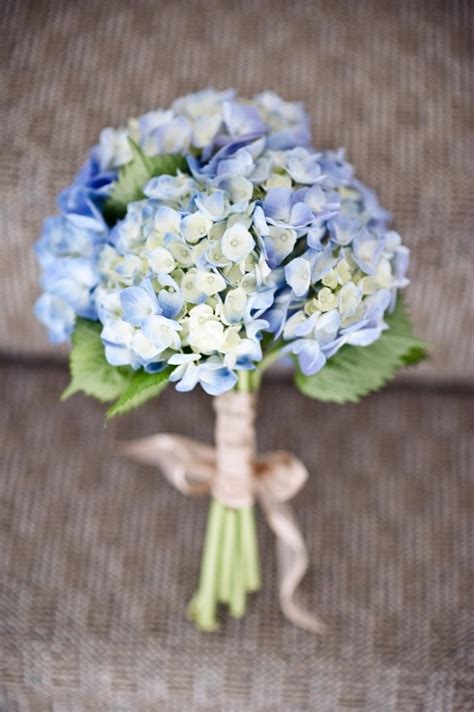 Check spelling or type a new query. 20+ Classic Hydrangea Wedding Bouquets - Deer Pearl Flowers