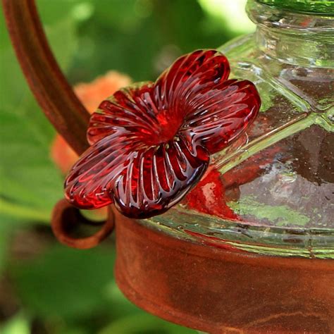 Many glass hummingbird feeders use red glass flower tubes. Flower Feeding Tube Replacement for Parasol Hummingbird ...