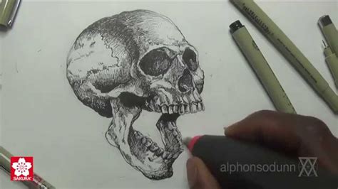Darken the inner surface of the eye sockets, nose, and oral cavity. Drawing a Skull with Alphonso Dunn of 'Learn 2 Draw ...
