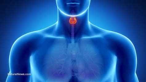 10 Signs Of Thyroid Problems And 10 Things You Can Do About It — Info
