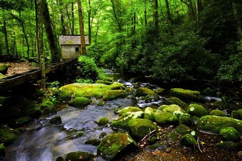 While experiencing everything the great smoky mountain area has to offer, why not come home to our beautiful smoky mountain vacation cabin rentals. 4 Unexpected Bonuses of Staying at a Secluded Smoky ...