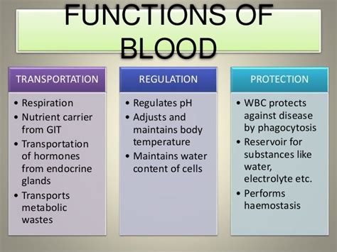 4 Components Of Blood And Their Functions