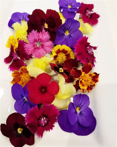 Edible Flowers For Tonights Dessert Edible Flowers Tasting Party