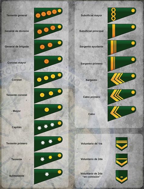 Chief of the army general staff: Rangos del ejercito | Ejercito argentino, Rangos en el ...