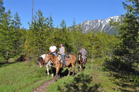 Horseback Riding In West Glacier Swan Mountain Outfitters
