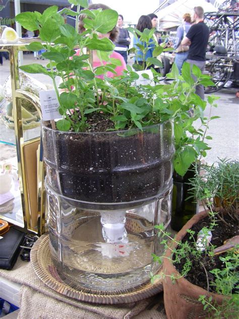 Self Watering Garden From A Big Water Bottle Diy Self Watering